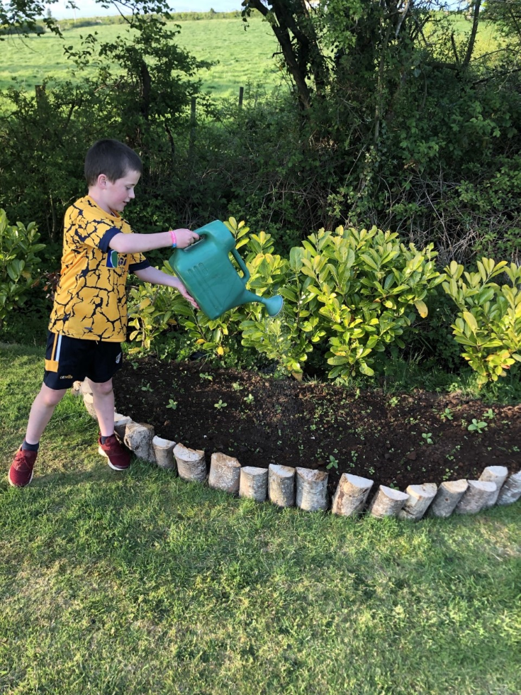 Soil + plants + sun + water = great gardener.