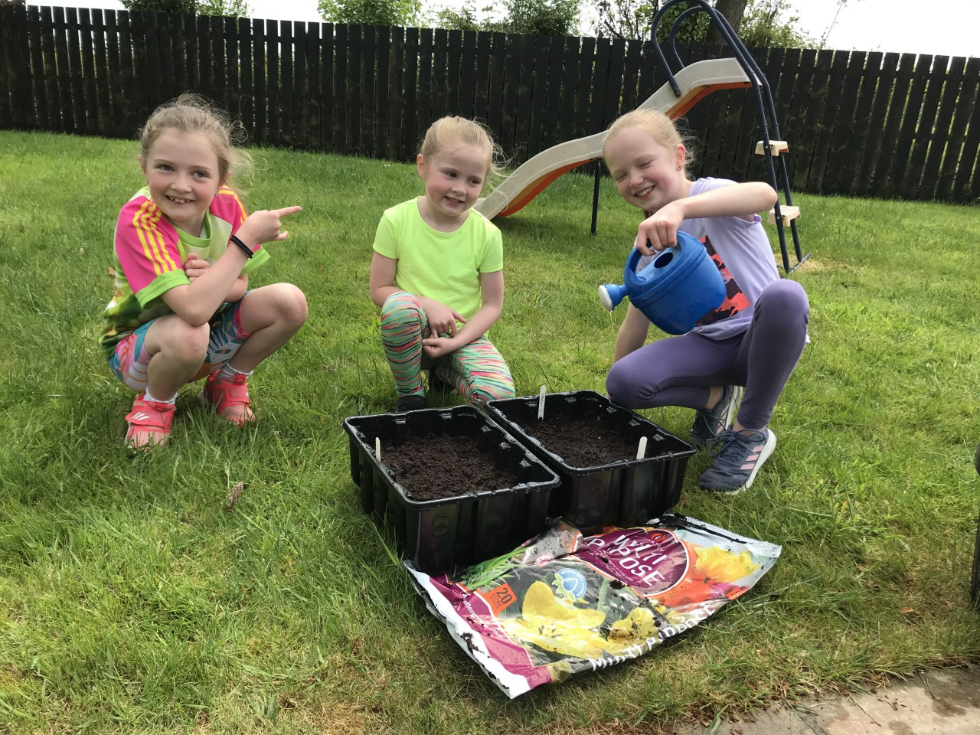 A big shout out to TIDAL for their planting kits. We can't wait to harvest our plants. #lettucesandwiches
