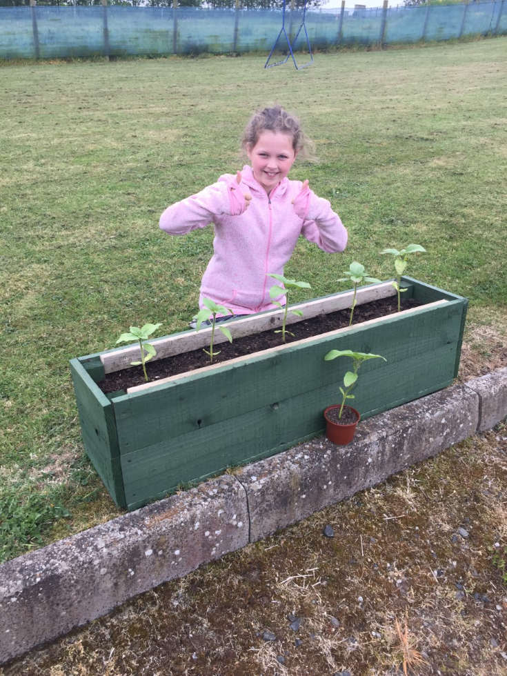 Look how your sunflowers have grown. #greenfingers