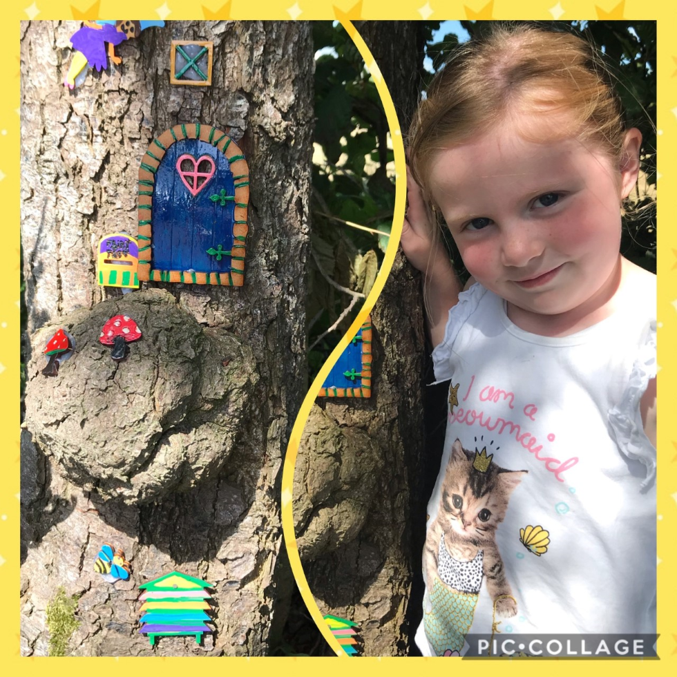 Fairy doors in our garden.