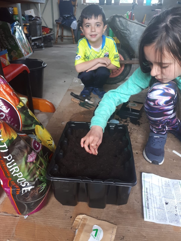 We look forward to eating our herbs and veg. #lunchtime