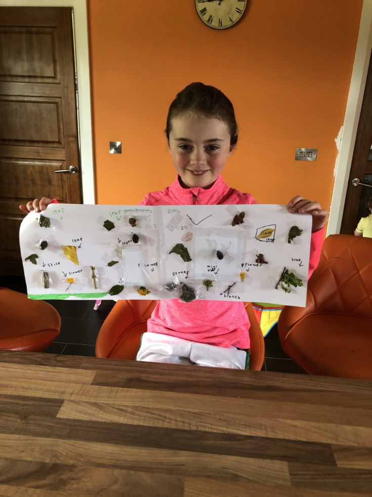 A story board describing our nature walk.