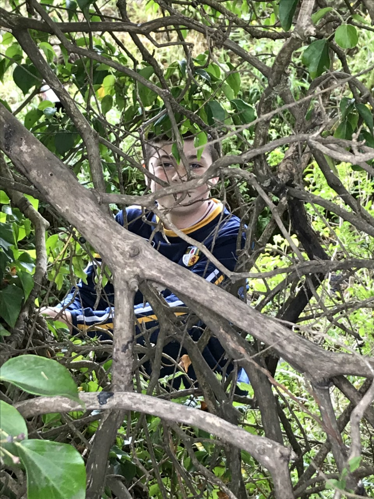 Camouflage! #canyouseeme