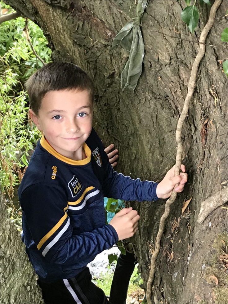 Learning to climb trees. #thegreatoutdoors