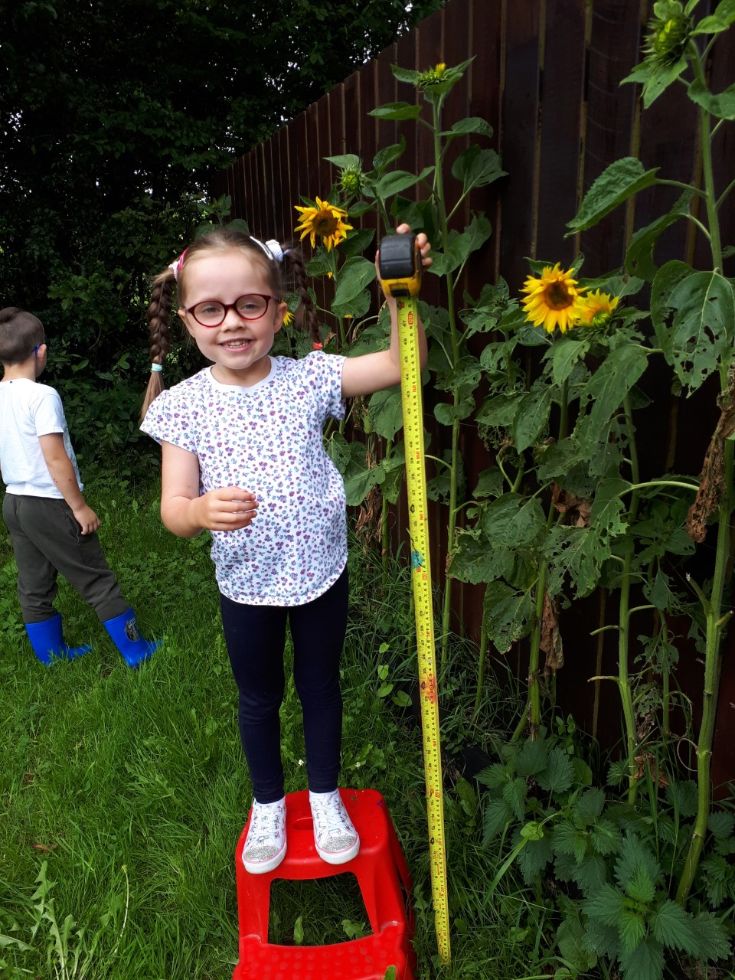 We watered the flowers every day.