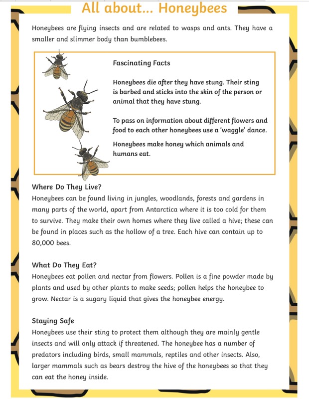 WORLD BEE DAY 20 MAY WORLD BEE DAY 20 MAY