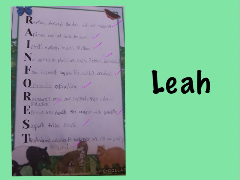 Rainforest Acrostic Poems