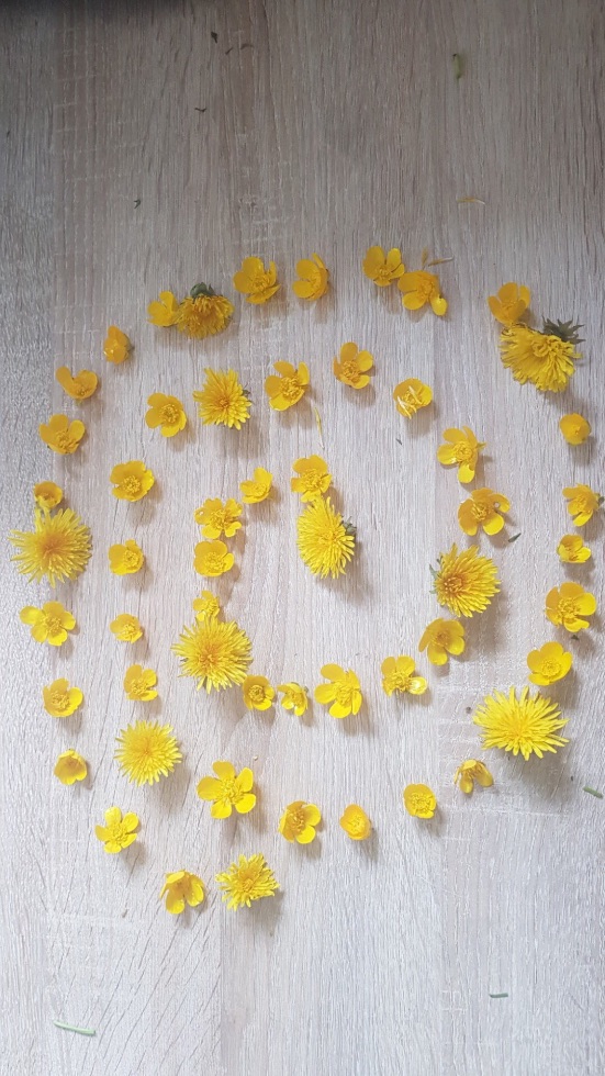 Photographing patterns in Nature