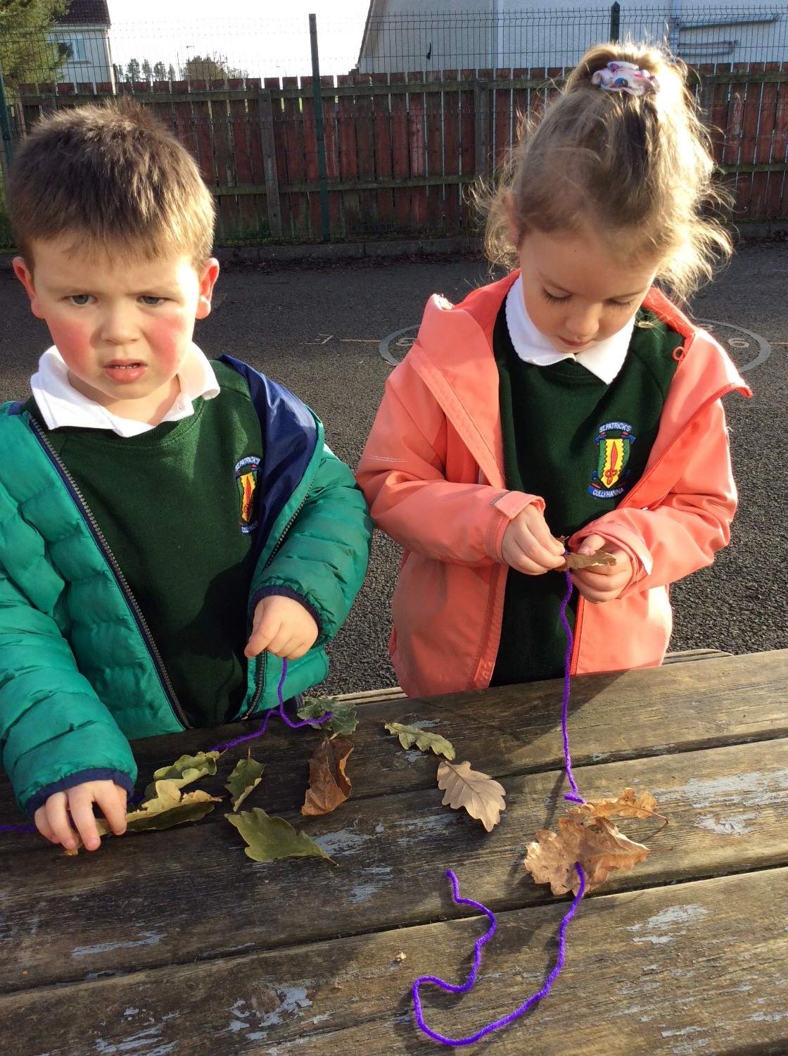 We thread the leaves on string.