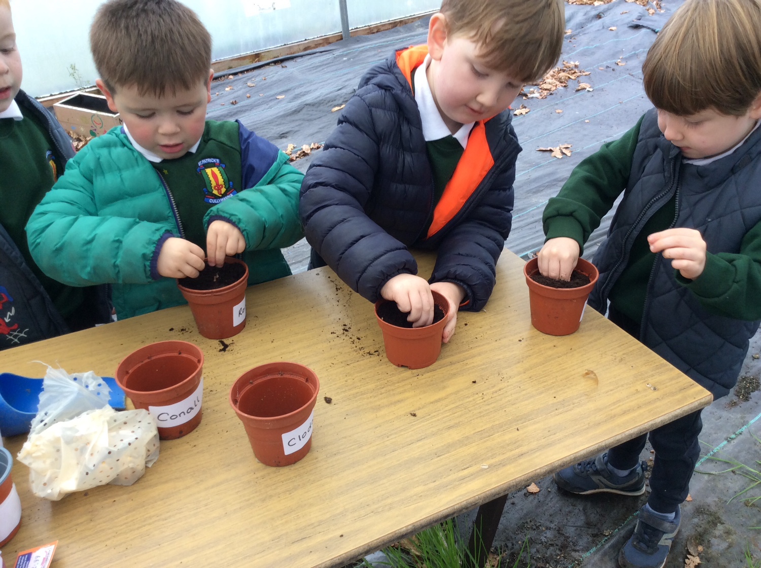 We plant bulbs for the Spring.