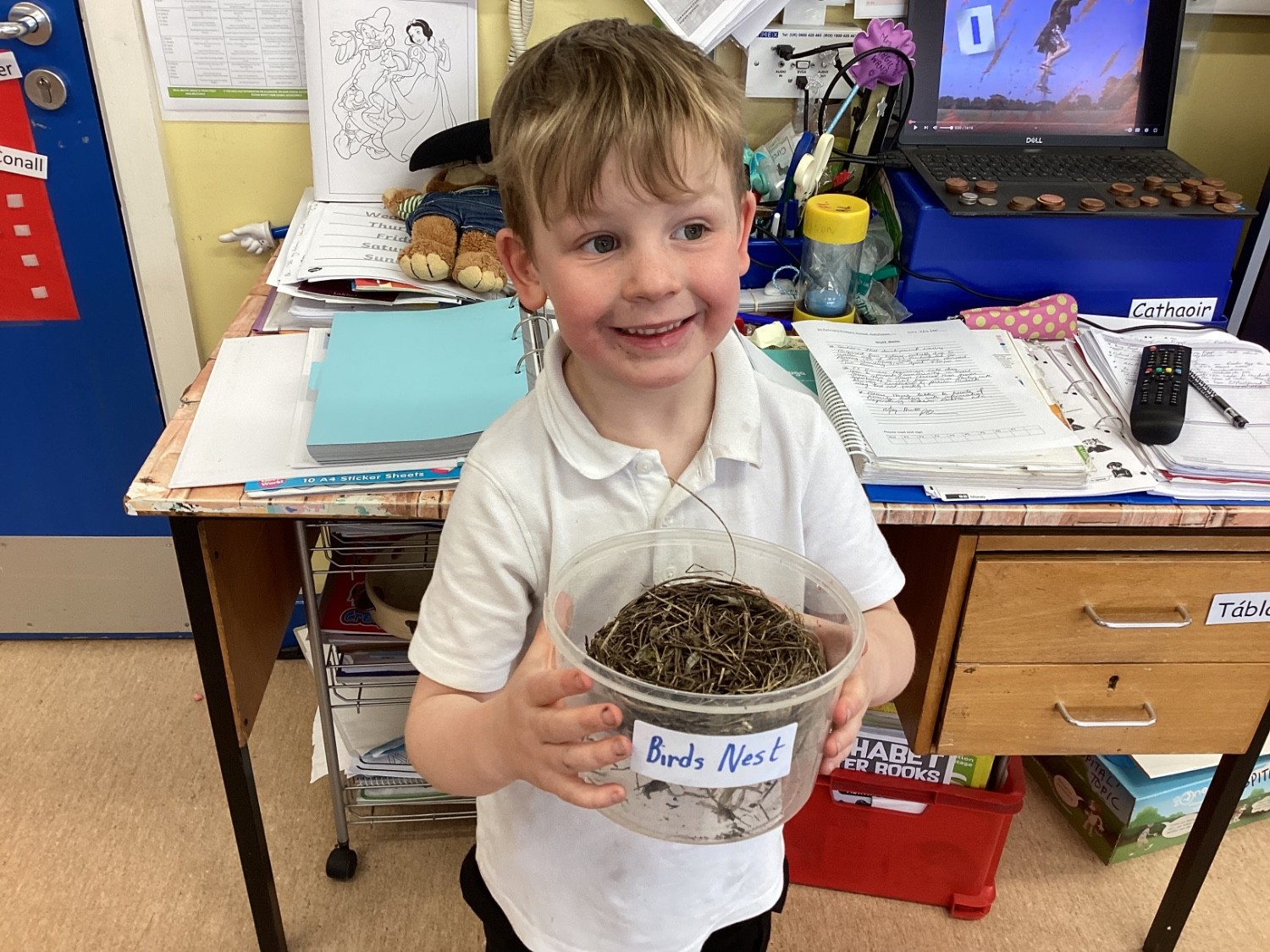 We looked at a birds nest..she used hay,straw and moss.