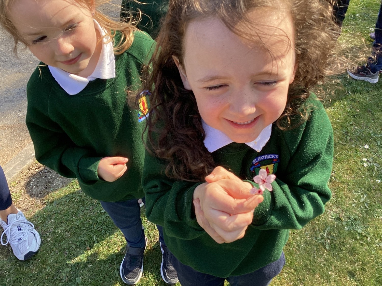 I counted the petals on the flower.
