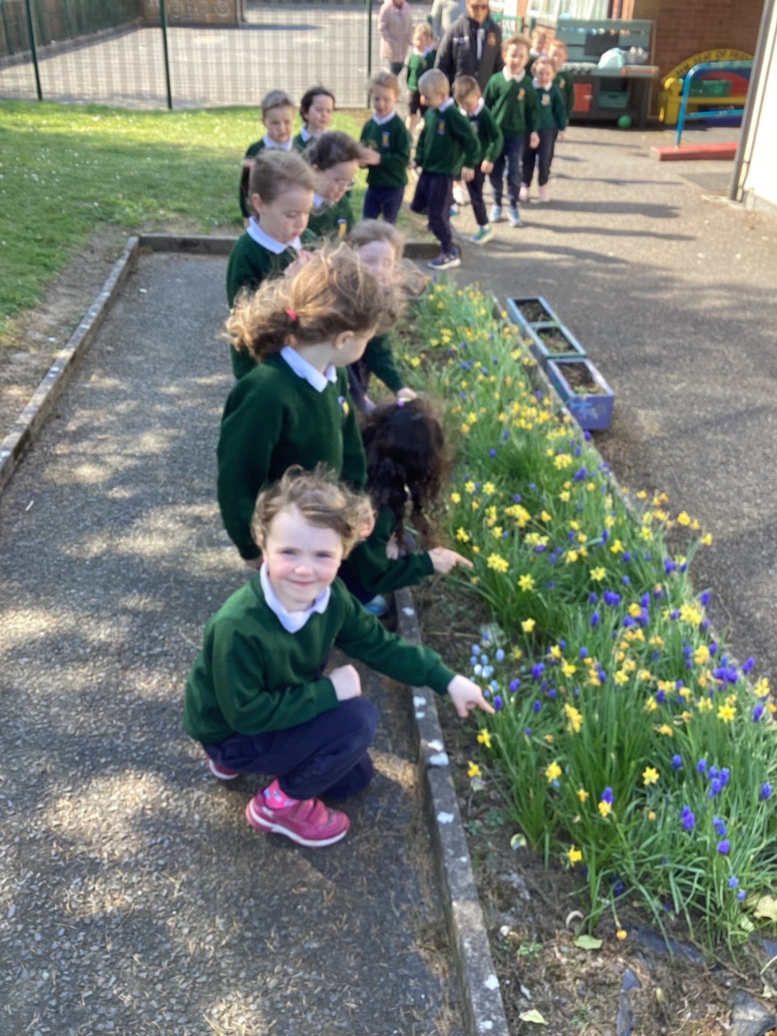 We look at the new flowers that blossom in Spring.