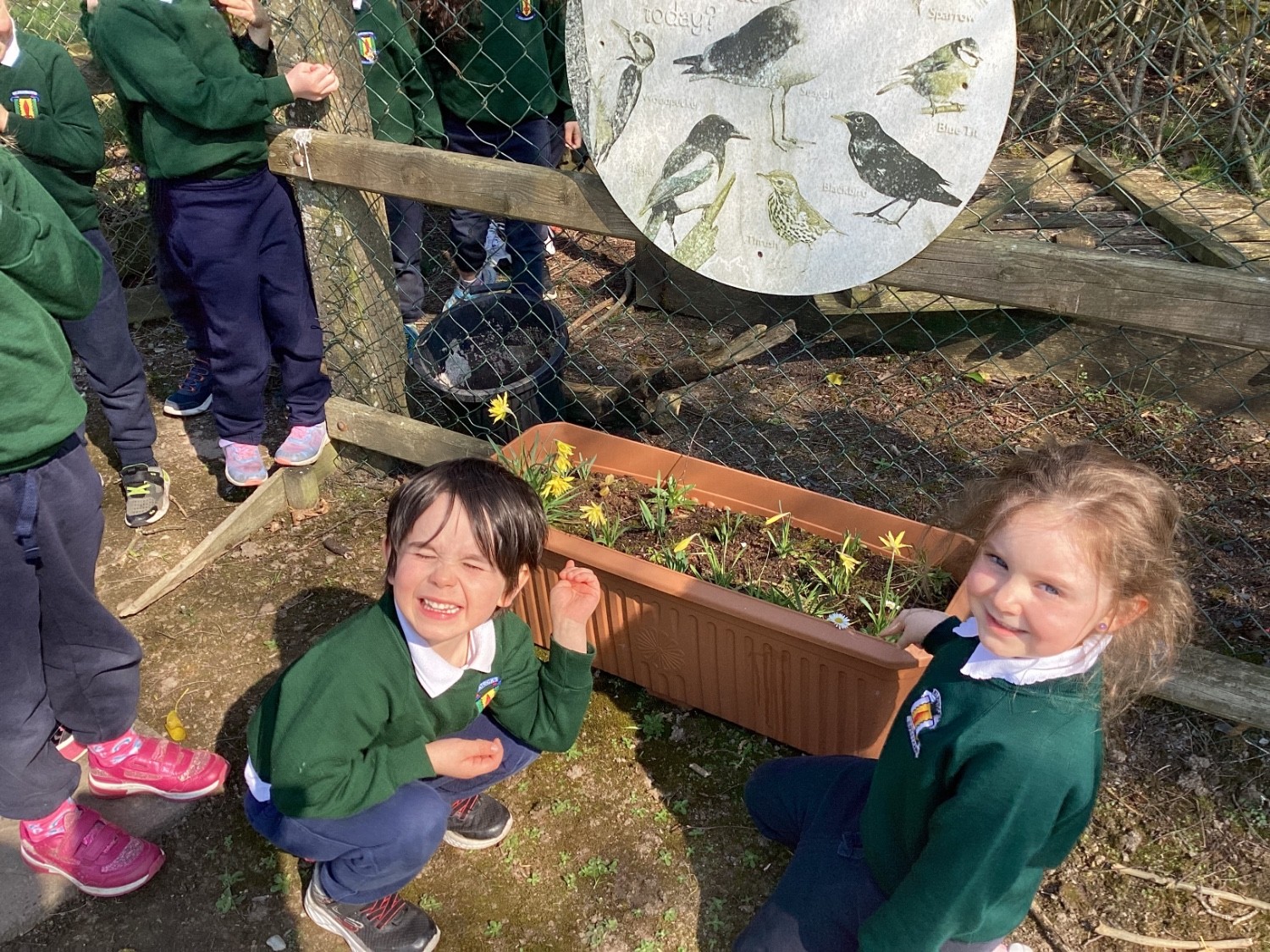 The new flowers are growing around our school.