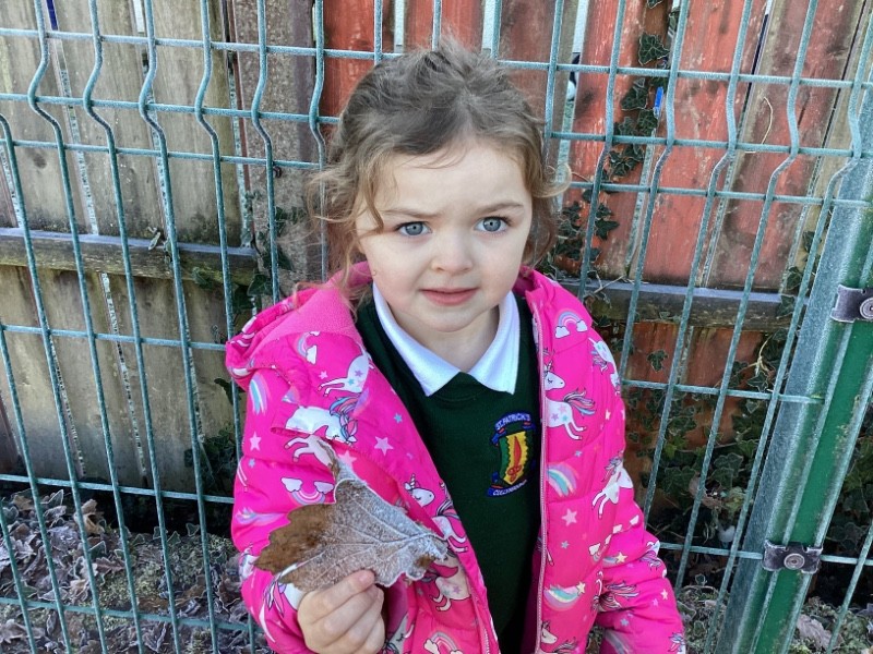 I found a frosty leaf in the playground.