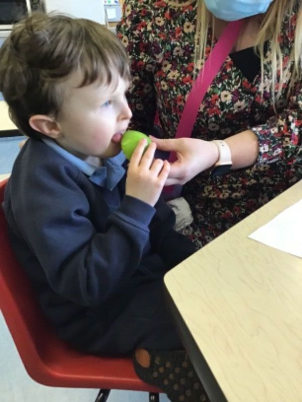 Harvest apple taste test