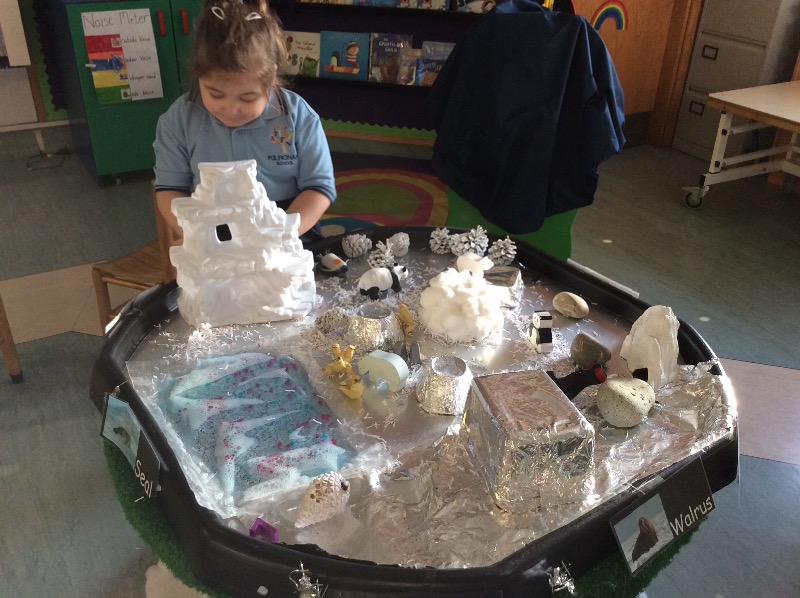 During our small world we were able to explore the different animals that live in the arctic.