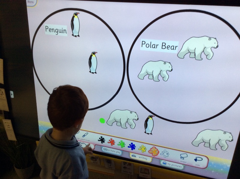 I was able to sort the Polar Bear and the Penguin into the correct place using My Board.