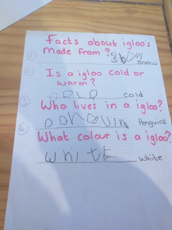 Some facts about igloos.