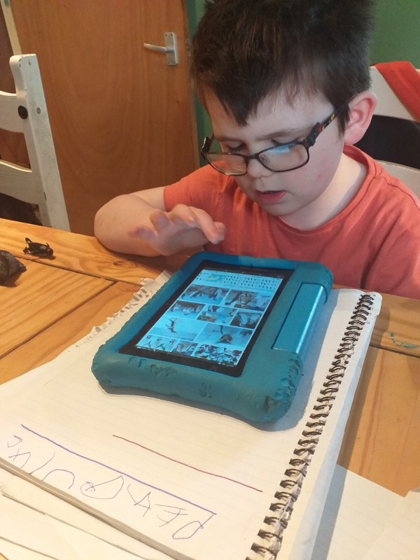 Researching the different types of penguins using my iPad.
