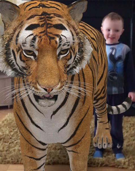 How to use Google Animals to see a tiger, lion and panda in 3D