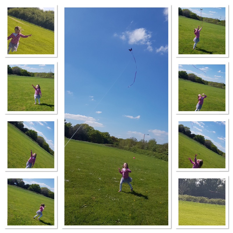 Let's go fly a kite....