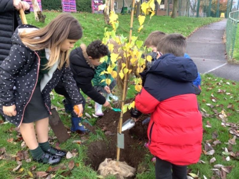 Trees for Schools