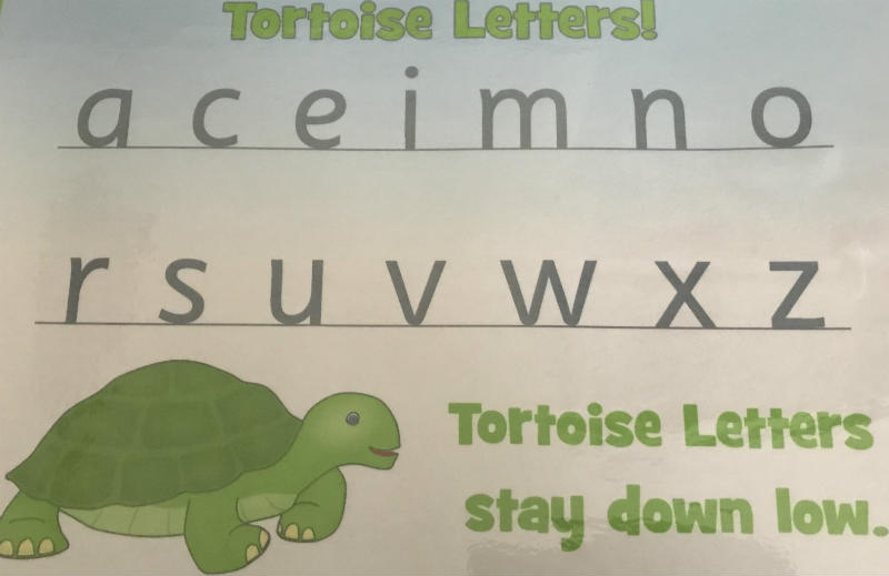 Tortoise Letters - Tortoise