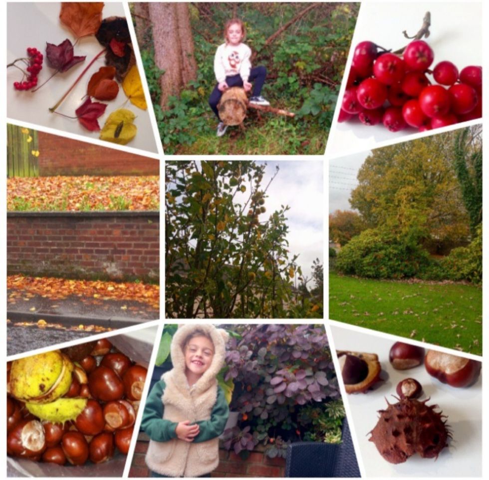 P3 homework- Using Pic Collage to upload our Autumn Scavenger Hunt results