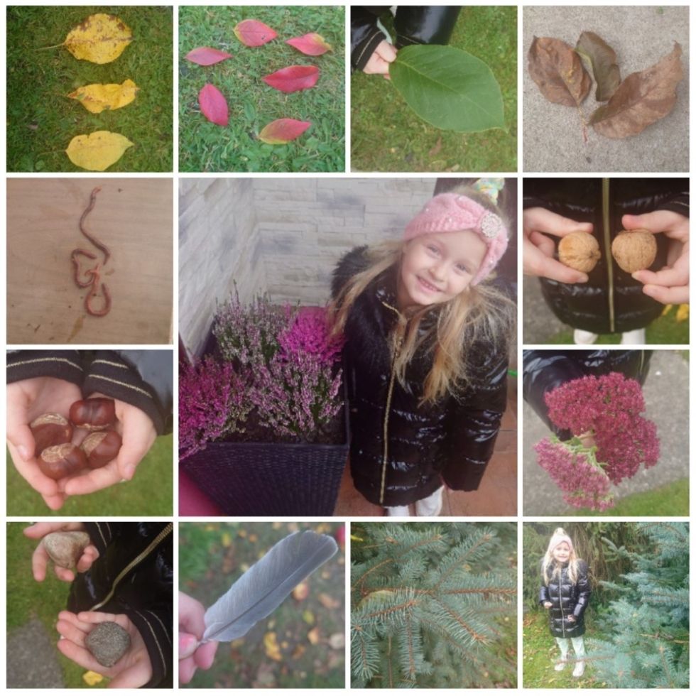 P3 homework- Using Pic Collage to upload our Autumn Scavenger Hunt results