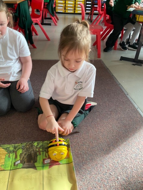 Coding using the Bee-Bot