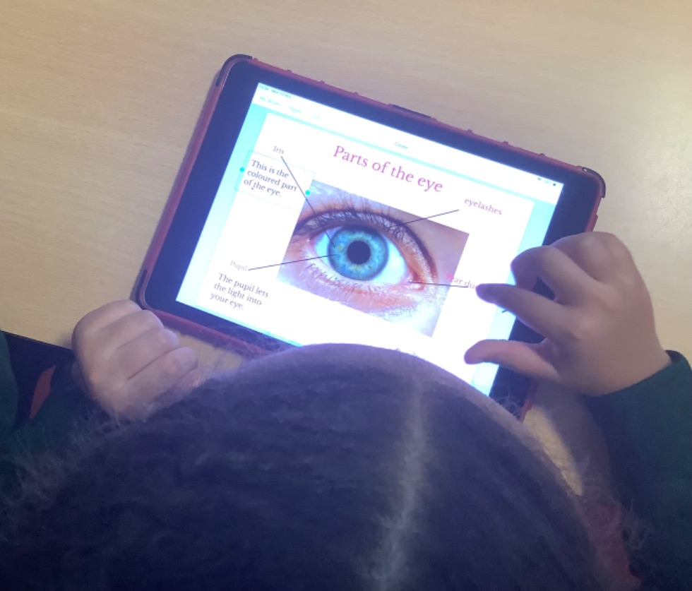 Using Book Creator to create a diagram of the eye