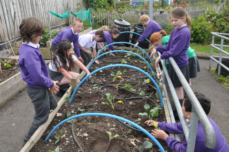 Y6 pupils working on our raised beds