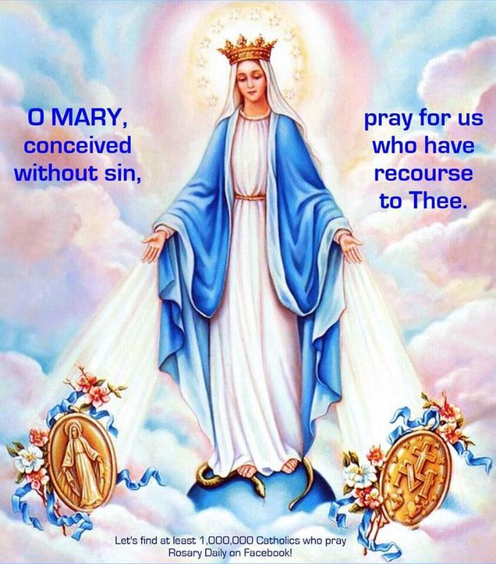 8th of December is a holy day the Feast of the Immaculate Conception