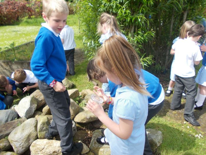 Finding Minibeasts