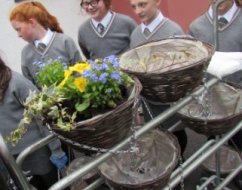 Eco-Schools Programme - Meet The Team Behind The Scene