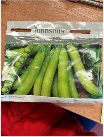 Pea seeds from garden centre