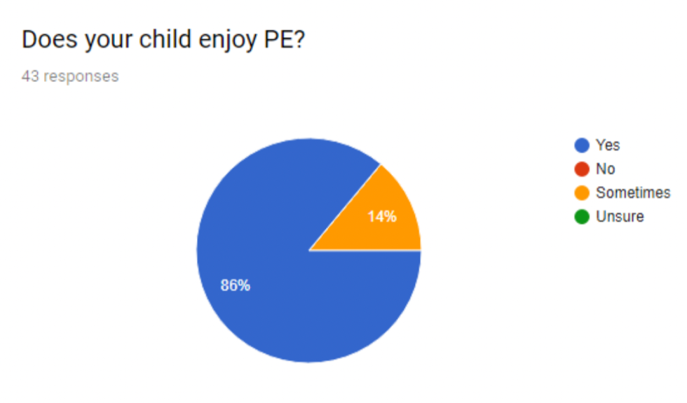 Parent questionnaire