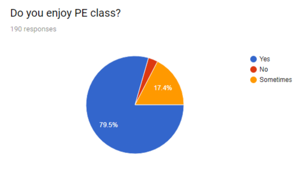 Pupil questionnaire