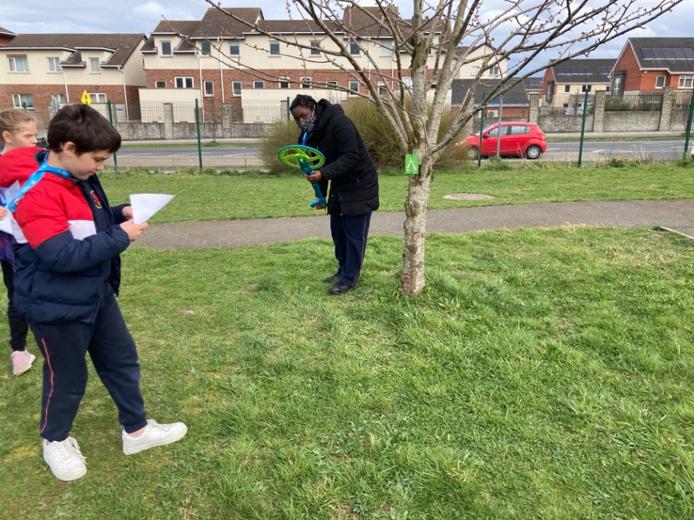 Active Committee Measuring the Walkway (8/9)