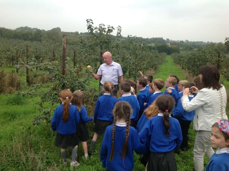 P3 & P4 visit local orchard