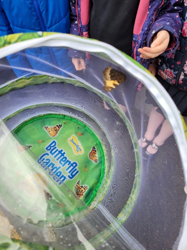 Releasing our butterflies
