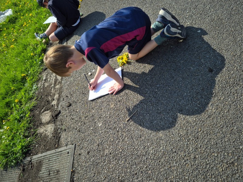10 flowers