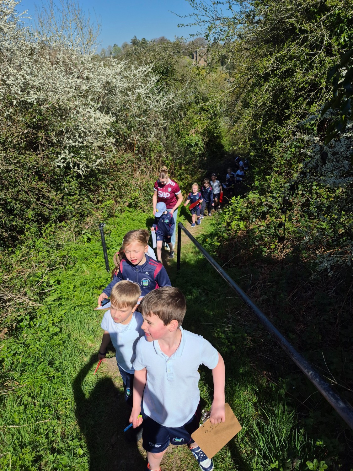 Maths trail up the Grove