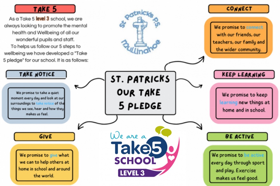 Take 5 School Pledge