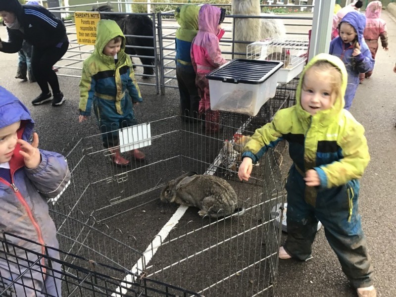 Lots of fun!