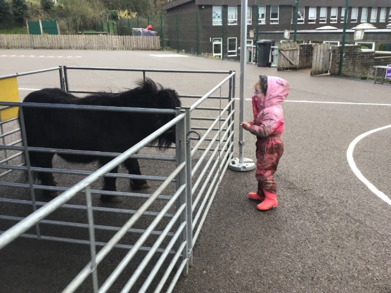 The pony was pleased to see us