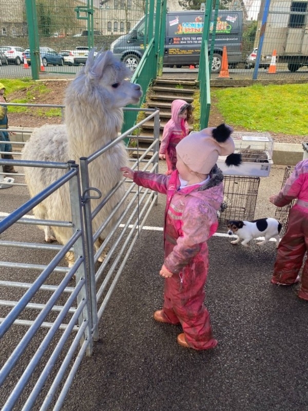The lama was friendly