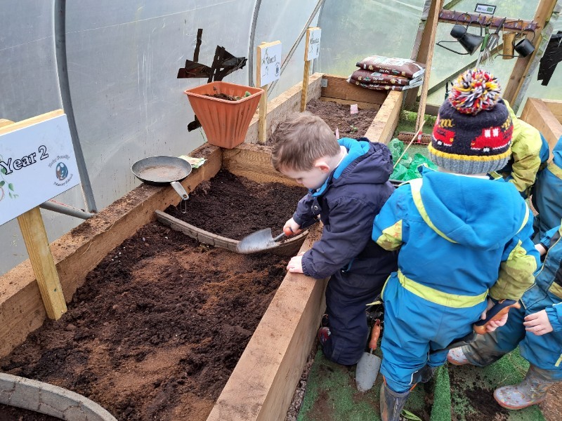 Planting in the polytunnel