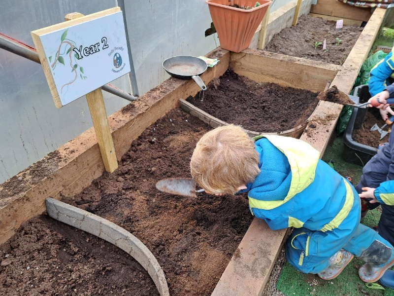Planting in the polytunnel